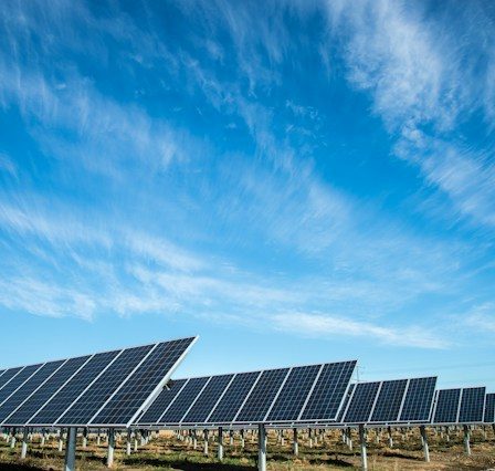 moduły fotowoltaiczne longi solar