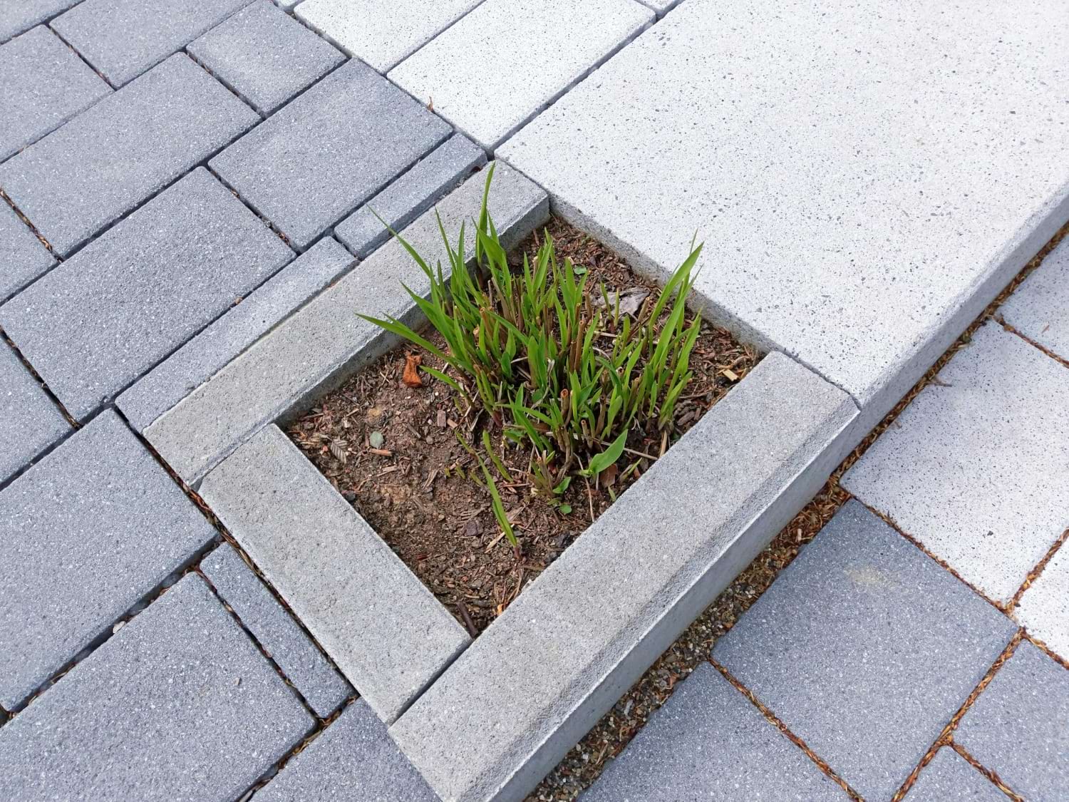 krawężniki granitowe